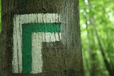 Fototapeta  - Drogowskaz, szlak zielony