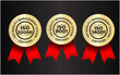 ISO certified, quality management system vector illustration set, premium golden badge 