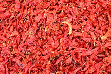 Close up of fresh dried red hot chilli peppers on display at local farmers' market. Background, texture of chillies.