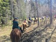 A group of people riding horses during a guided tour in the forests of Kananaskis, in the Rocky Mountains, Alberta, Canada.