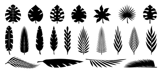 Set of tropical leaves silhouettes. Collection palm leaves. Jungle exotic leaves and botanical plants. Vector illustration.
