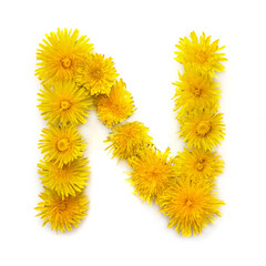 Canvas Print - The letter N of yellow dandelions