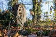 Stare groby, zapomniany cmentarz jesienią