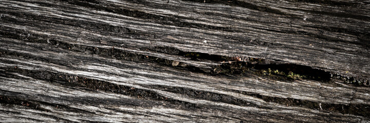 Canvas Print - Wooden background texture