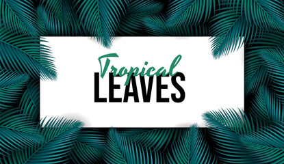 Wall Mural - Luxury banner and place for text. Natural Realistic Green Palm Leaf Tropical Jungle green leaves. Spring or summer nature. Plant branch on a dark background. Promotional template. Design Element.