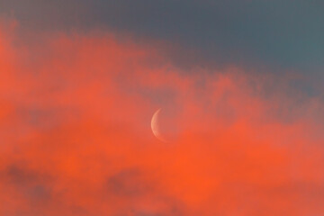 crescent moon in bright pink sunset sky