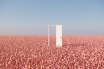 outstanding white door open on pink grass filed landscape with sky background. minimal idea concept.