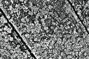 Fototapete - The grunge texture of old boards overgrown with lichen. Abstract uneven background of lichen on old boards with graininess and fine grains of sand. Vector illustration. Overlay Template.