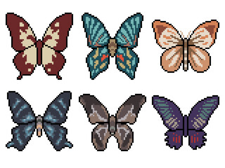 Poster - pixel art butterfly top view