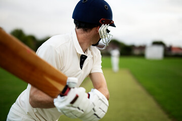 Wall Mural - Cricketer on the field in action