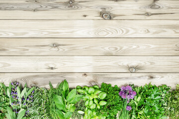 Sticker - Fresh kitchen herbs wooden background. Organic food concept