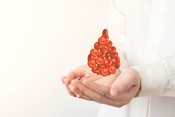 Wall Mural - Blood donation. Human hands holding blood drop shape of red blood cells over white background. World blood donor day and save life concept.