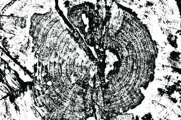 Leinwandbilder - The grunge texture of an old tree stump with a dark core. Natural natural background. Vector illustration. Overlay Template.