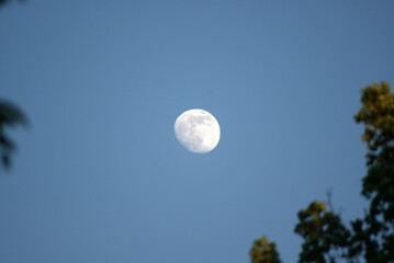 almost full moon in may
