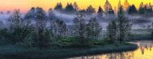 Fog Rainforest Dawn, Nature Landscape Trees