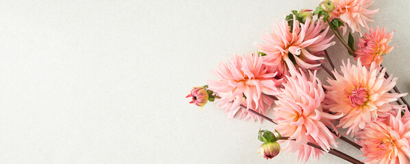 Wall Mural - bouquet of pink dahlias on a light beige background