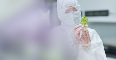 Poster - Composition of female scientist in ppe suit holding beaker with plant in laboratory