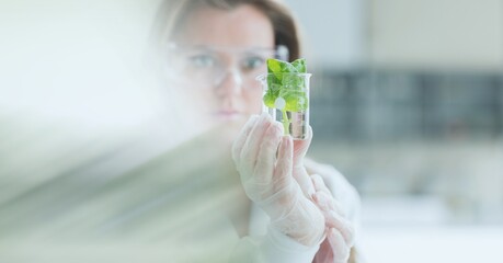 Poster - Composition of female scientist holding beaker with plant in laboratory with green motion blur