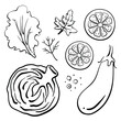Black line sketch collection of vegetables, fruits, herbs and berries isolated on white background. Doodle hand drawn icons. Vector illustration