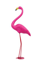 Plastic Pink Flamingo
