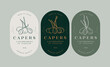 Vector set labels with pickled capers - simple linear style. Emblems composition with caperberries and typography.