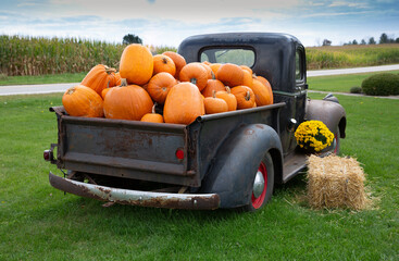 old pick up truck with pumpkins in bed for market.