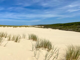 Fototapeta Morze - Dune de sable, plage de le Porge, Gironde