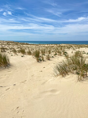 Poster - Dune de sable, plage de le Porge, Gironde