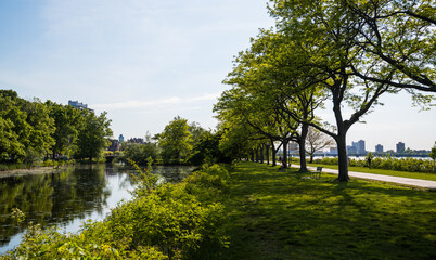 Charles River Esplanade scenic summer background with lush grass, plants, and the river. Boston, MA