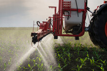 Tractor Spraying Pesticides At Corn Fields