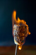 © Stacy Howell - Marshmallows with a flame