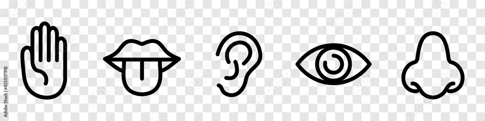 Five Senses Icon Collection. Eye, nose, ear, hand, mouth, tongue signs ...