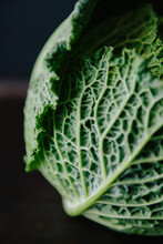 Closeup Of Cabbage 