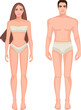 Diagram of the male and female body, front view, in underwear. Blank human body template for medical infographics. Stylized color vector illustration of a clipart.