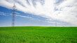 © Cosminxp - Green grass over a blue sky. Beauty natural background