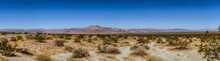 Panorama Shot Of Desert Bush In Flat American Desert In California With Mountains Onhorizon