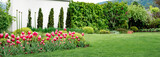 Fototapeta Tulipany - Ścianka w ogrodzie, nowoczesna forma ogrodu w wiosennej odsłonie