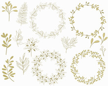 Set Of Botanical Elements And Round Frames, Vector. Individual Elements Of Plants - Leaves, Flowers And Berries, Ready-made Frames For Design. The Plant Parts Are Golden In Color. Hand Drawing.