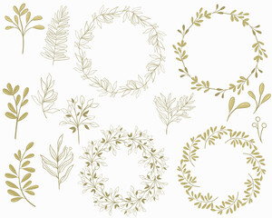 Wall Mural - Set of botanical elements and round frames, vector. Individual elements of plants - leaves, flowers and berries, ready-made frames for design. The plant parts are golden in color. Hand drawing.