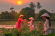 Vietnamese girl collects lotus flowers at sunset