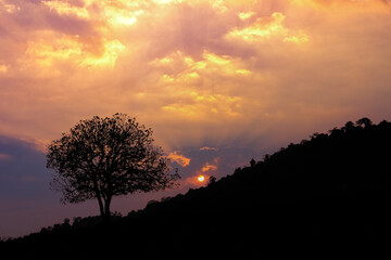 The black shadow of the trees and mountains at sunrise