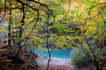 Wall Mural - Autumnal image of the Urederra River Natural Reserve. Navarre. Spain