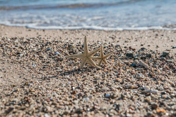 Starfish standing on golden sand near sea on sunny day. Romantic summer vacation concept. Summer wallpaper or background