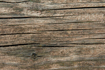 background old wood horizontal arrangement close up