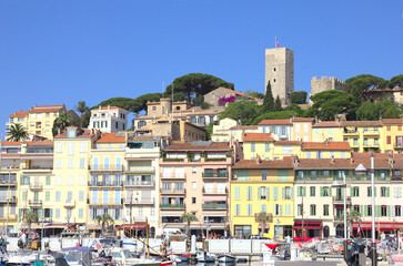 Wall Mural - View of the old port of Cannes, France