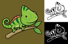 Funny Chameleon On Tree Branches. Vector Cartoon Illustration In Flat Icon Style