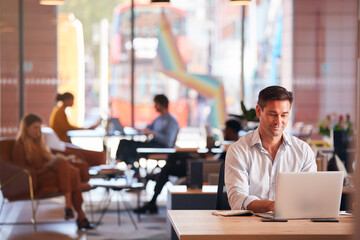 Wall Mural - Businessman Sitting At Desk Working On Laptop In Modern Open Plan Office