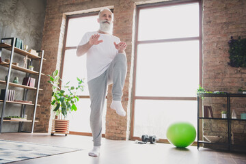 Sticker - Full size photo of handsome concentrated good looking positive mature man training at home house doing cardio