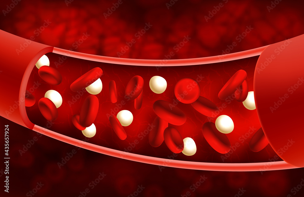 Vector illustration of red blood cells inside an artery or vein - obrazy, fototapety, plakaty 