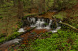 Skrivan color creek in Krusne mountains in morning after rain with waterfall